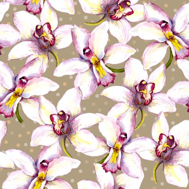 Seamless floral background with white orchid flower. Hand painted watercolor drawing