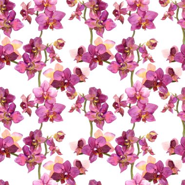 Seamless pattern with orchids on white background