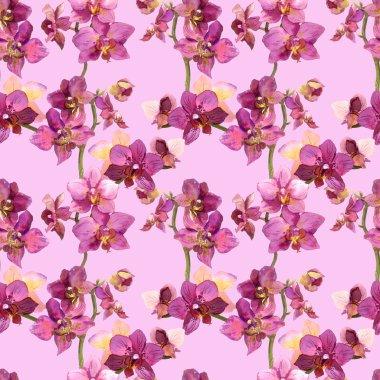 Tropical flowers orchids in repeated fabric design