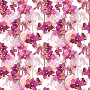 Floral seamless pattern with painted pink orchid flowers on white background