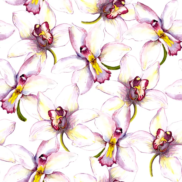 Seamless floral background with white orchid flower. Hand painted watercolor drawing — 图库照片