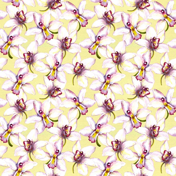 Seamless floral repeated backdrop with white orchid flower on yellow background. — Φωτογραφία Αρχείου