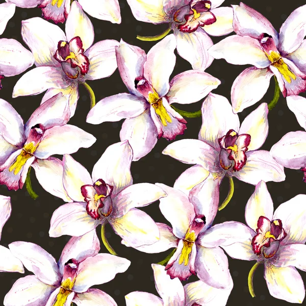 Seamless floral background with white orchid flower. Hand painted watercolor drawing