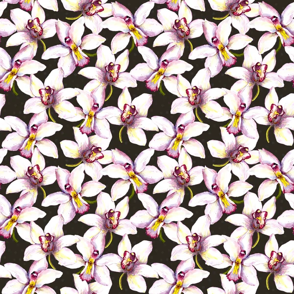 Seamless floral contrast wallpaper with white orchid tropical flower on black background — Φωτογραφία Αρχείου