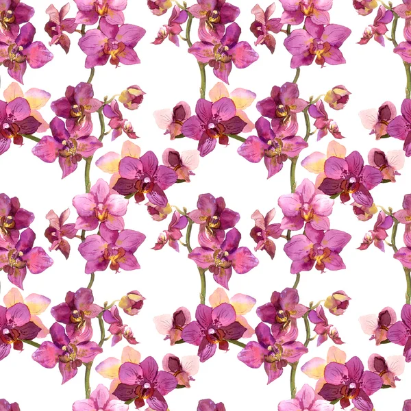 Modèle sans couture avec des orchidées sur fond blanc — Photo