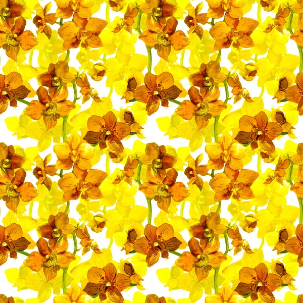 Tropical orchid flowers - exotic floral pattern. Repeating background. Watercolor. — Zdjęcie stockowe