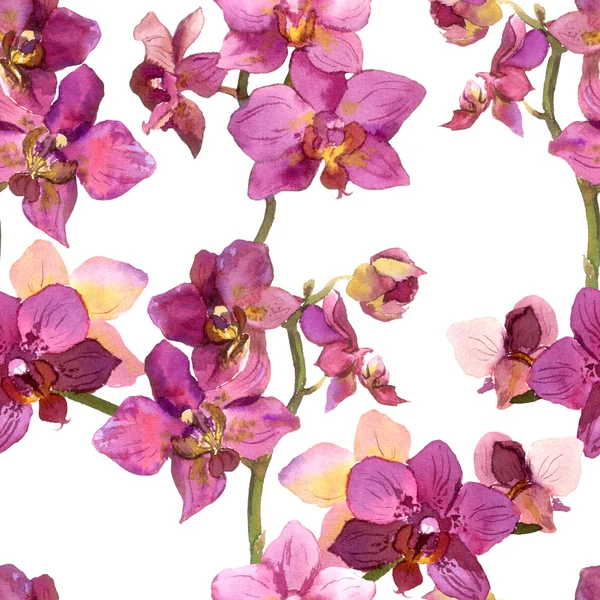 Seamless floral background with purple orchids — Stockfoto