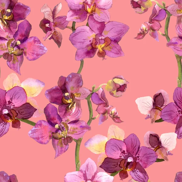 Patrón colorido con flor de orquide —  Fotos de Stock