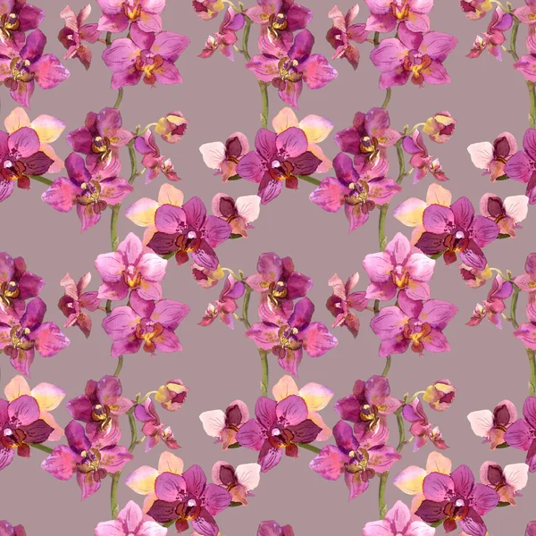 Romantic tiled background with orchids painted in botanical style — Φωτογραφία Αρχείου