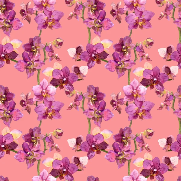 Pink patterned backdrop with blooming orchids — Stockfoto