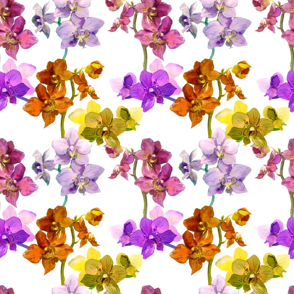 Tropical orchid flowers. Repeating floral pattern. Watercolor — Stock fotografie