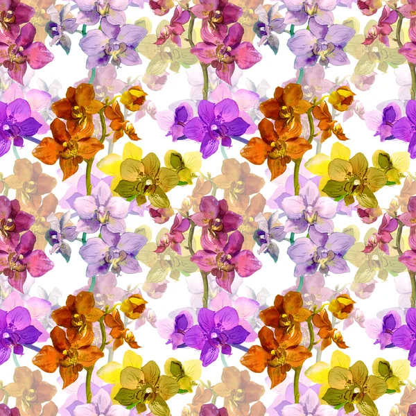 Fiori di orchidea tropicale. Ripetere il motivo floreale. Acquerello — Foto Stock