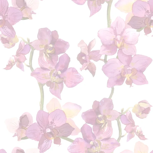 Light pastel floral backdrop with tropical flowers orchids — Stockfoto