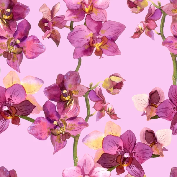 Graphic floral backdrop with pretty orchid flowers — 图库照片