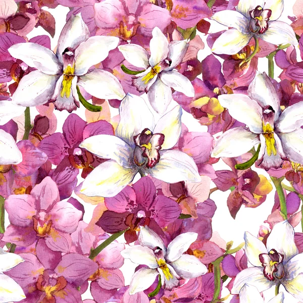 Exotic floral pattern - tropical orchid flowers. Seamless background. Watercolor. — ストック写真