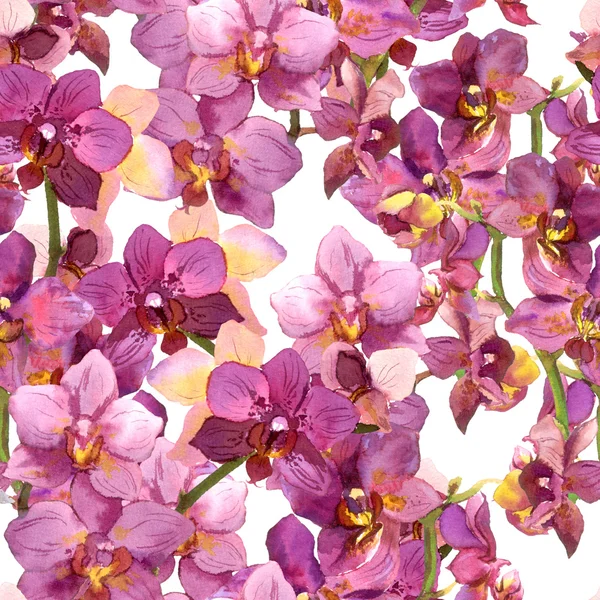 Exotic floral pattern - vibrant orchid flowers. Seamless background. Watercolour. — Stockfoto