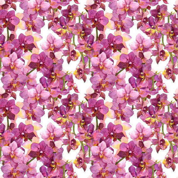 Floral pattern - blooming purple orchid flowers. Seamless background. Watercolor. — ストック写真