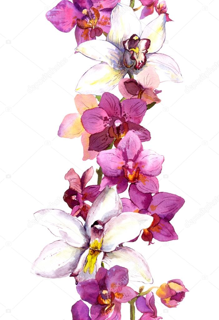 Floral seamless frame border with bright exotic flowers orchid. Aquarelle