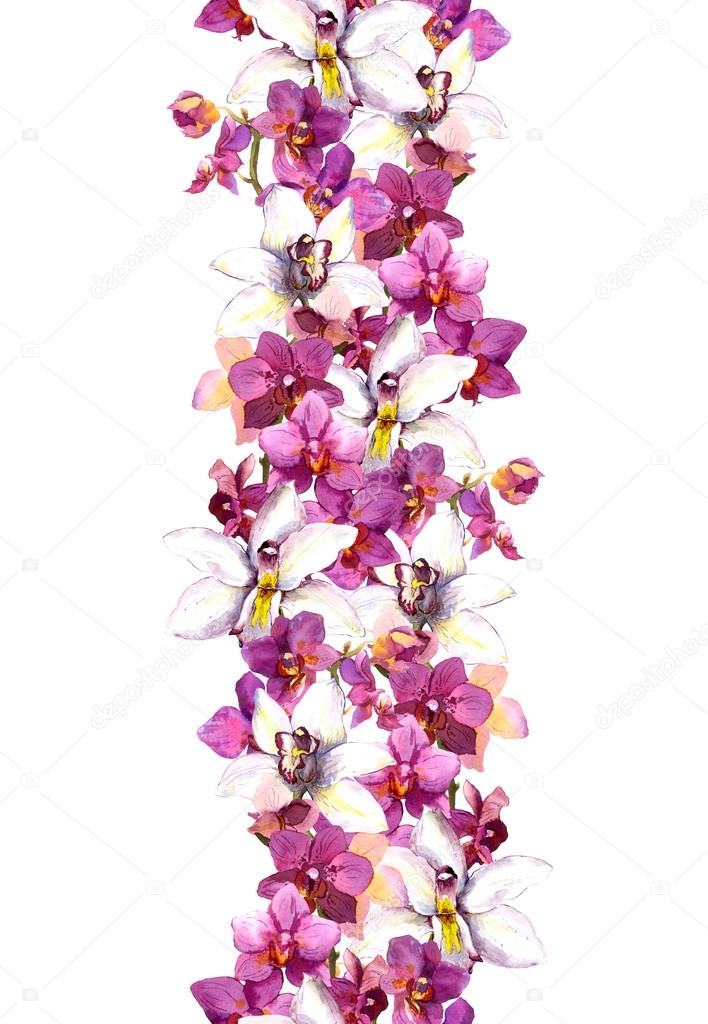 Chic floral seamless frame pattern with tropical flowers orchid. Watercolor