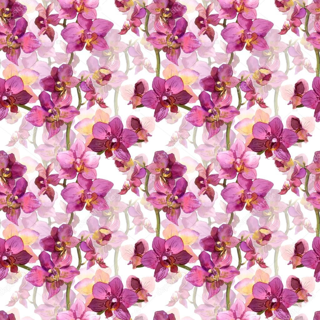 Floral seamless pattern with painted pink orchid flowers on white background