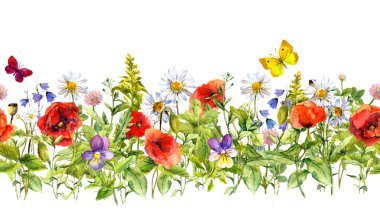 Vintage floral horizontal border. Watercolor meadow flowers, grass, herbs. Seamless frame