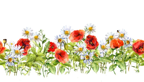 Floral horizontal border. Watercolor meadow flowers, grass, herbs. Seamless frame — Stock fotografie