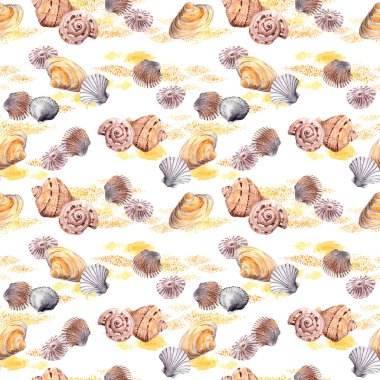 Kesintisiz deniz kabuğu ve beyaz arka plan üzerinde kum desen. Suluboya