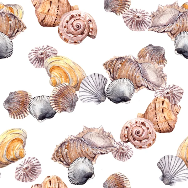 รูปแบบเปลือกหอยทะเลที่ไร้รอยต่อบนพื้นหลังสีขาว อควาเรียม — ภาพถ่ายสต็อก