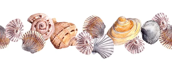 Tira de fronteira sem costura com conchas. Banner aquarela — Fotografia de Stock