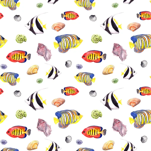 Fisk och musselskal. Upprepande seamless mönster. Akvarell — Stockfoto