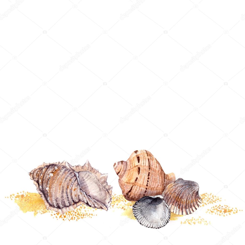 Watercolor painted background with sea shells in sand
