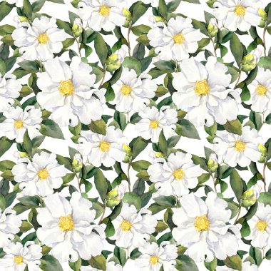Sorunsuz çiçek geçmiş duvar kağıdı ile beyaz çiçekler. Aquarelle boyama