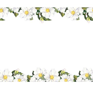 Sorunsuz çiçek şerit çerçeve beyaz çiçekli. Suluboya kenarlık