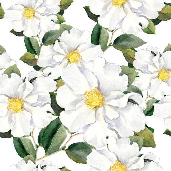 Bezešvé květinovými tapetami s bílými květy magnólie, pivoňky. Akvarel — Stock fotografie