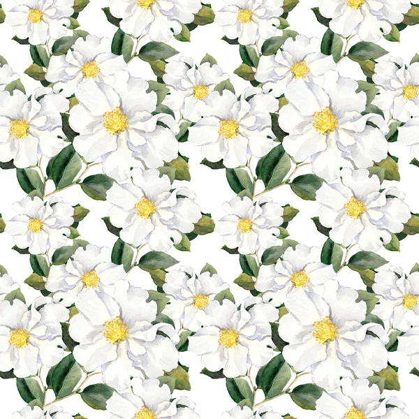 Naadloze bloemen behang met witte bloemen magnolia, pioenrozen. Aquarel — Stockfoto