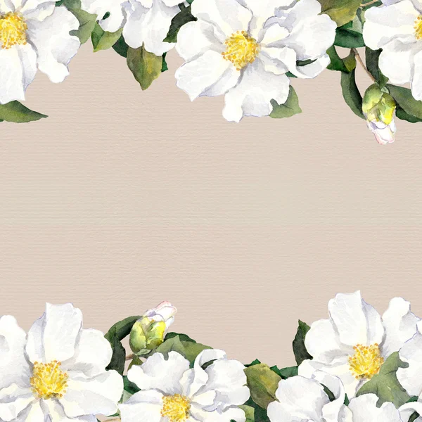 白い花を持つシームレス花柄フレーム バナー。紙の質感の aquarelle 境界線 — ストック写真