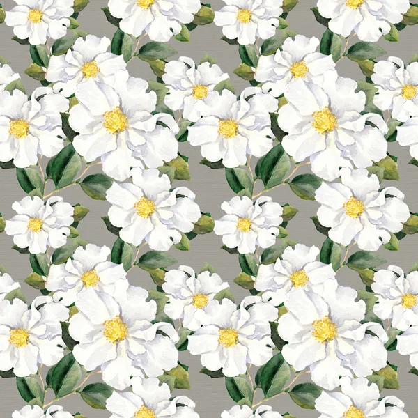 Beyaz çiçekler Manolya, peonies ile sorunsuz çiçek duvar kağıdı. Suluboya — Stok fotoğraf