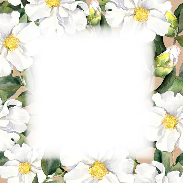 Aquarelle floral frame met witte bloemen rand op papier textuur — Stockfoto