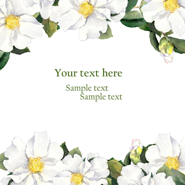 Tarjeta de felicitación con borde floral - flores blancas. Aquarelle. — Foto de Stock