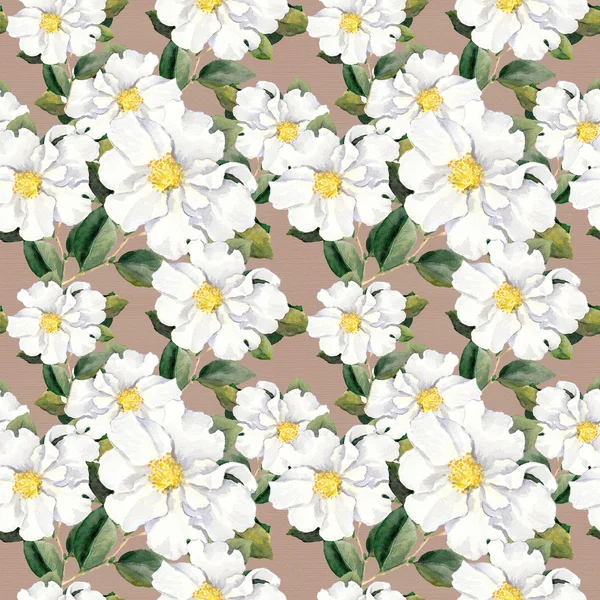 白い花モクレン、牡丹の花のシームレスの壁紙。水彩 — ストック写真