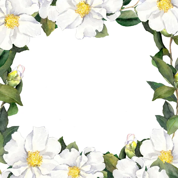水彩縁の白い花と花のフレーム — ストック写真