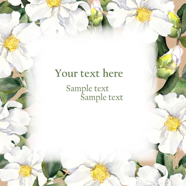 Marco floral de acuarela con flecos de flores blancas sobre textura de papel — Foto de Stock