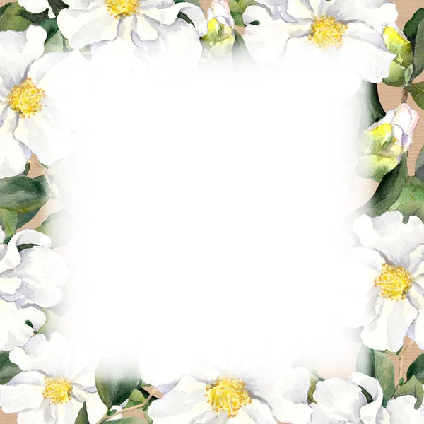 水彩花卉框架与纸张纹理白花条纹 — 图库照片