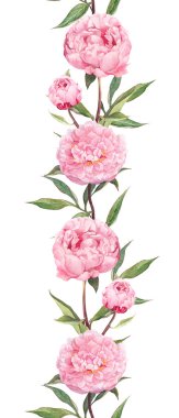 Peonies çiçekler. Yinelenen desen - kenar çerçevelemek. Sulu Boya