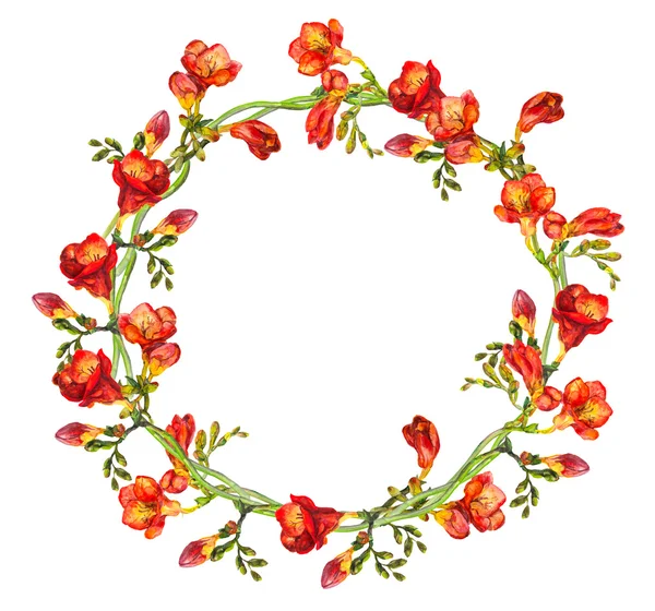 Corona de anillo redondo floral con flores y brotes de freesias rojas — Foto de Stock