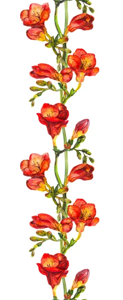 붉은 수채화와 원활한 꽃 테두리 꽃 freesias — 스톡 사진