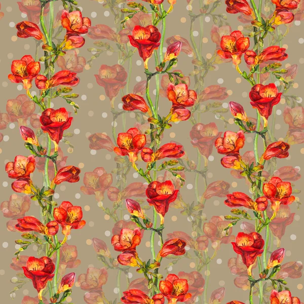 Naadloze patroon met rode fresia's bloemen op achtergrond met erwt — Stockfoto