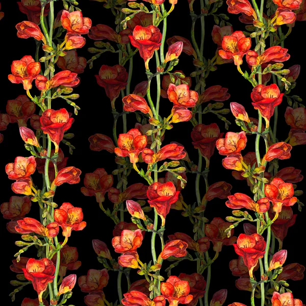 Padrão sem costura floral com flor freesia vermelho pintado em contraste fundo preto — Fotografia de Stock