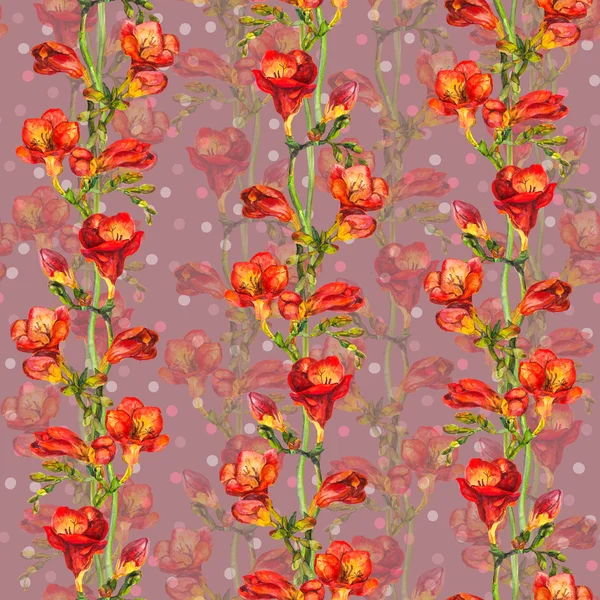 Бесшовные обои с горохом - цветочный дизайн польки с экзотическими красными цветами фрезии — стоковое фото