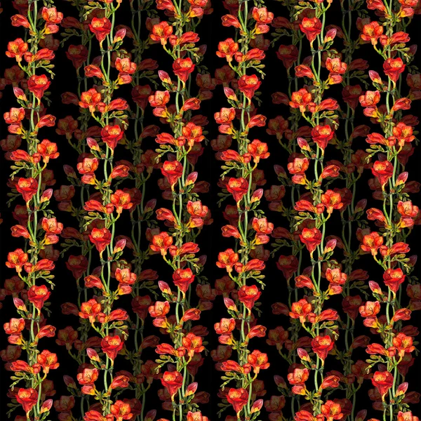 Patrón de contraste sin costura floral con flores de freesias rojas sobre fondo negro — Foto de Stock